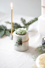 Новогодний набор с суккулентом № 19