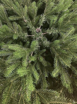 Ель искусственная Царь Елка Раскидистая Премиум, РДП-180