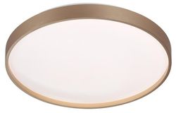 Накладной светильник Sonex Gaby 7783/DL