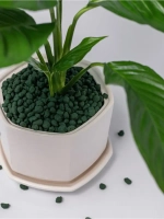 Дренаж для цветов и растений зеленый 4 л фр 5-10 мм