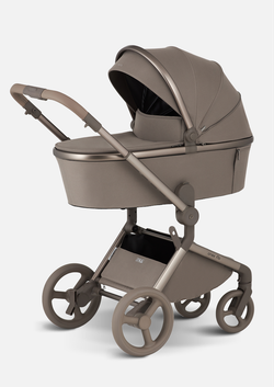 Anex Детская коляска Flo 2 в 1 Yuki