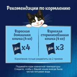 Felix влажный корм для кошек аппетитные кусочки с курицей пауч 75 г