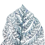 Ветка декоративная «Сказочный папоротник» 40 см, Сапфир