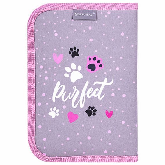 Penal \ Pencil case\ Пенал BRAUBERG, 1 отделение, 2 откидные планки, полиэстер, 21х14 см, 271514
