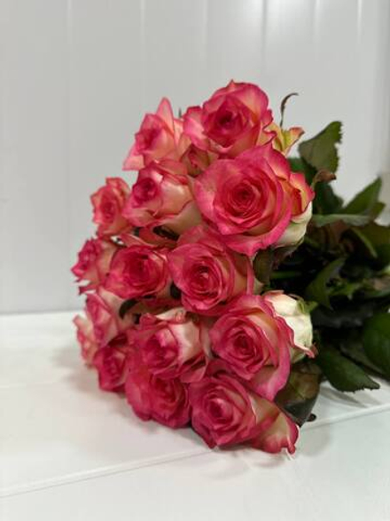 Букет из 15 роз сорта Джумилия 60см