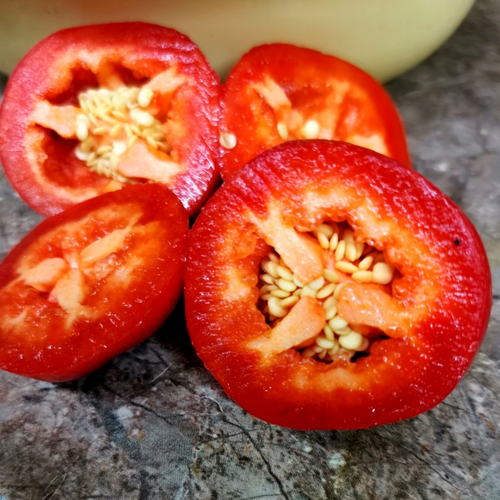 Перец Яблочный Онтара - Ontara Pepper