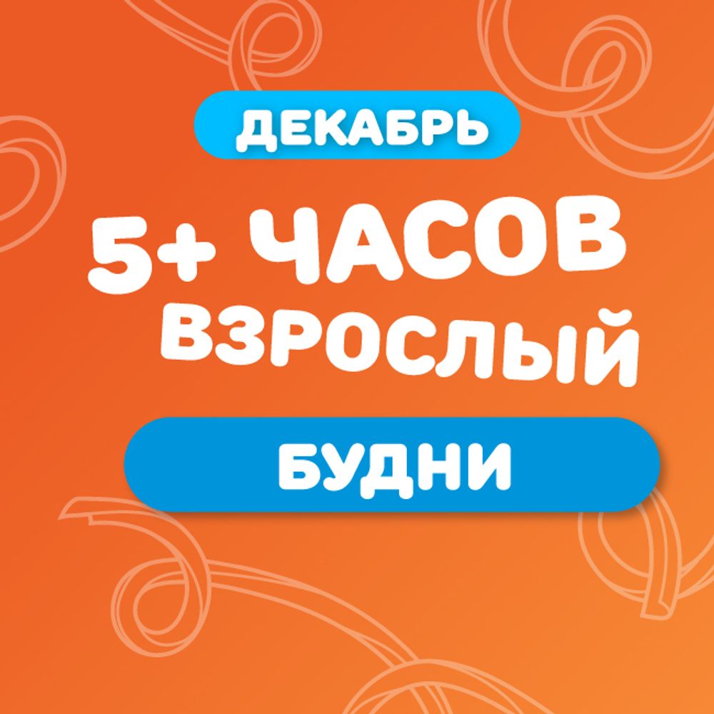 Взрослый билет на тариф "5+ часов" (будние дни) в декабре