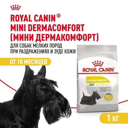 Royal Canin Mini Dermacomfort Мини Дермакомфорт Корм сухой для взрослых собак мелких пород для профилактики раздражения и зуда кожи 1кг