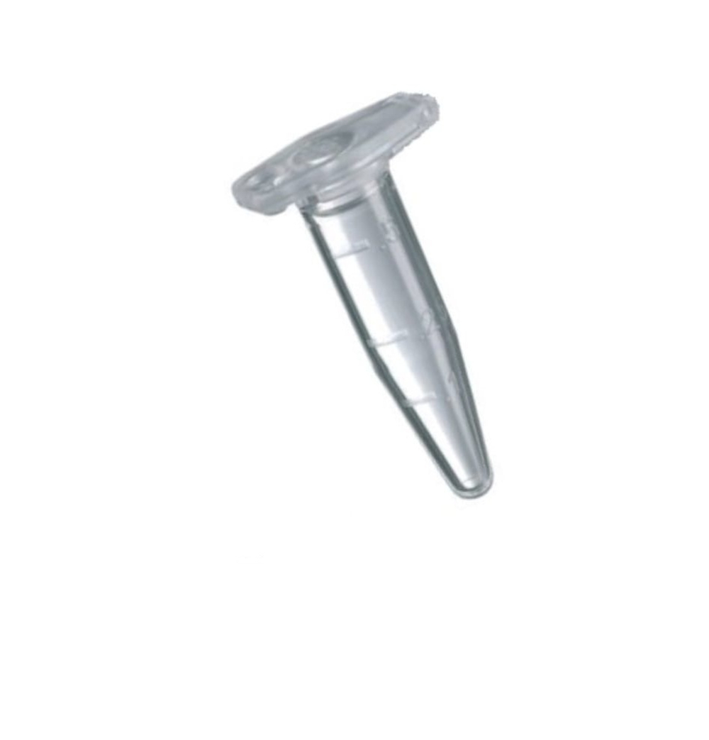 "Антипобег" для муравьев