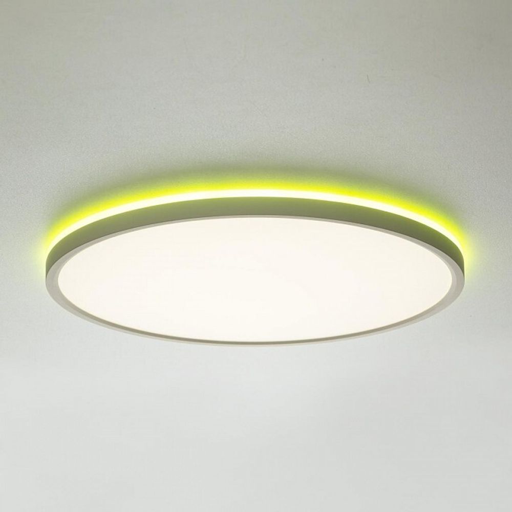 Накладной светильник Citilux NORMA CL749400