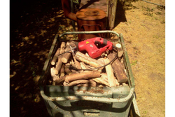 Сабельная пила Elitech ПС 500 178316