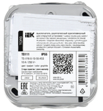 TORS Выключатель двухполюсный одноклавишный 10А IP55 TS111 графит IEK