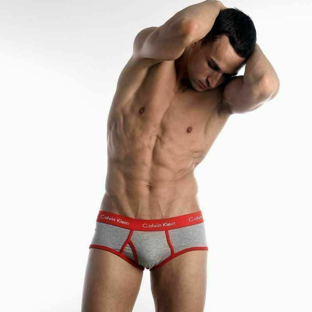 Мужские трусы брифы Calvin Klein 365 Grey Red Brief