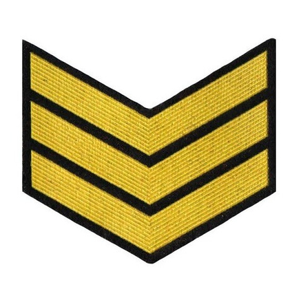 Курсовка пластизол. 3 курс