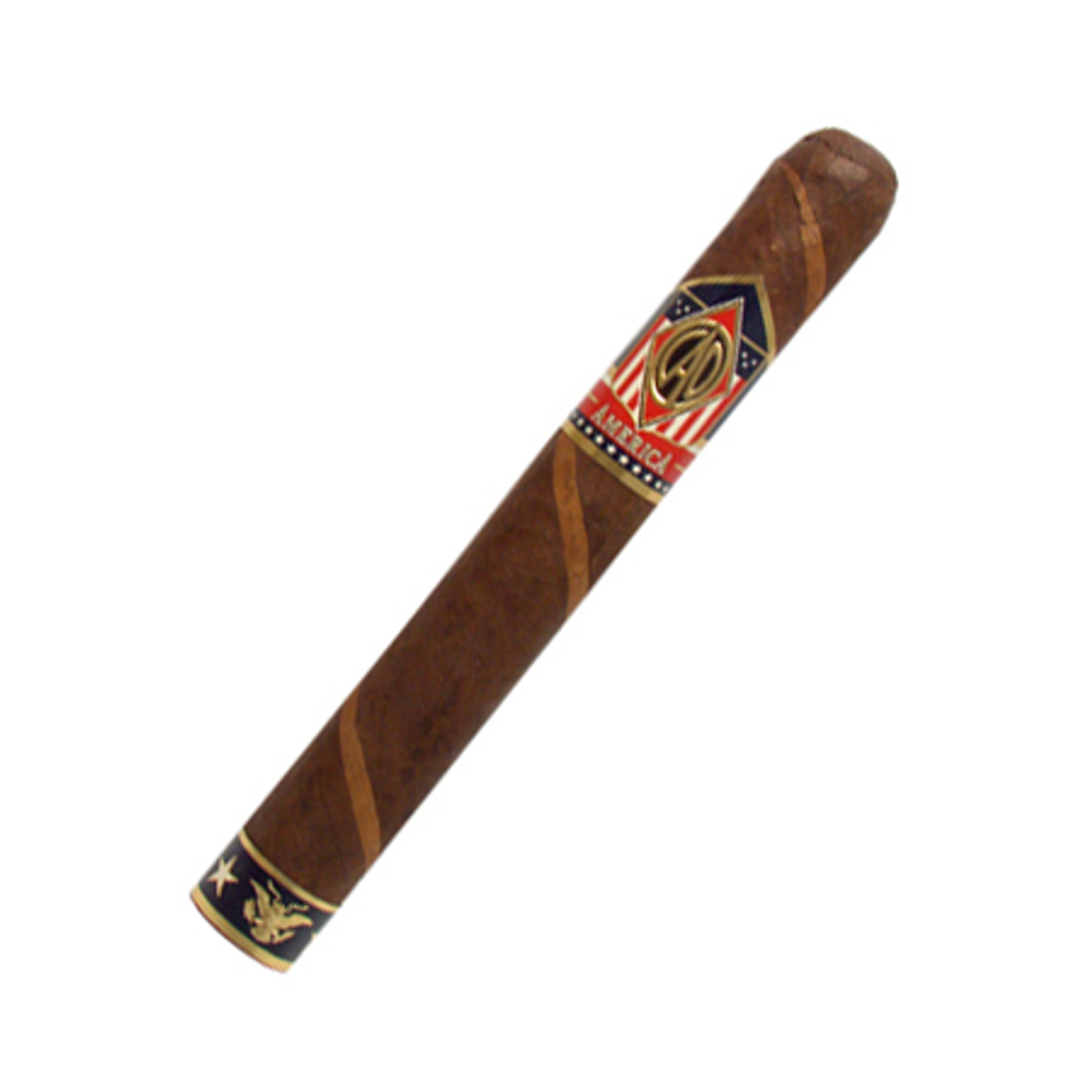 CAO America Constitution