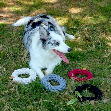 Игрушка для собак Кольцо COTO 18 см M-Pets