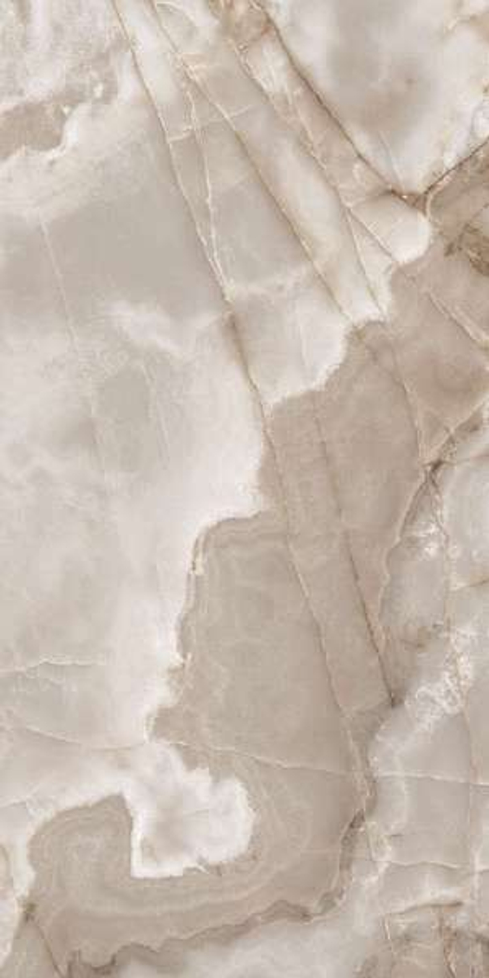 REX ONYX COFFE FP1011-A