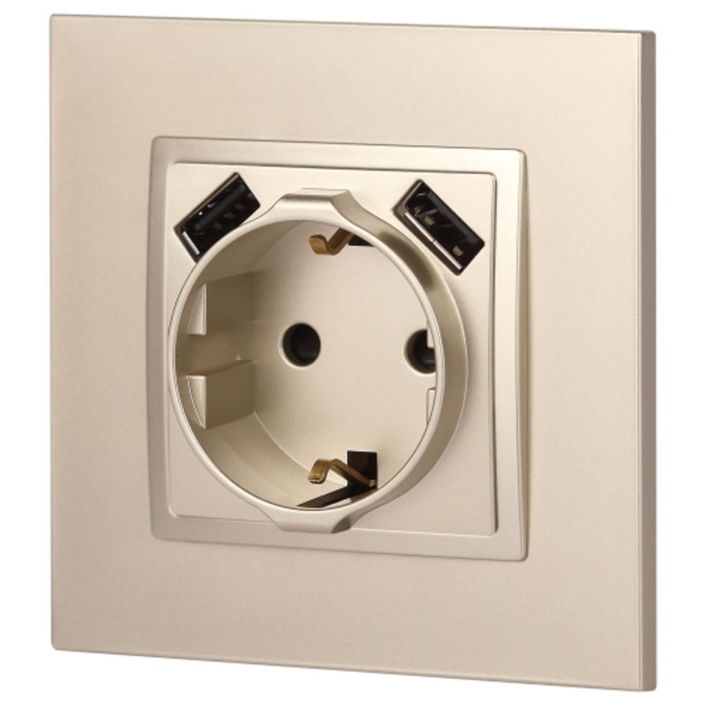 14-4109-04 ЭРА Розетка 2P+E 16A-250В, штор. с 2xUSB 5В-3А, Эра Elegance, шампань