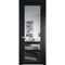 Межкомнатная дверь эмаль Profil Doors 2.5.2PD блэк остеклённая