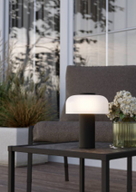 Аккумуляторная настольная лампа Eglo PONENTE 900984