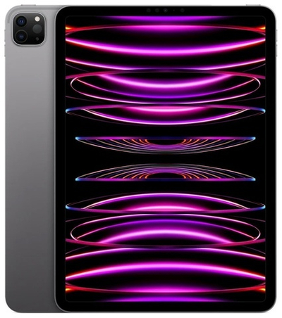 Планшет Apple iPad Pro 11 (2022) 1 Тб Wi-Fi Серый космос