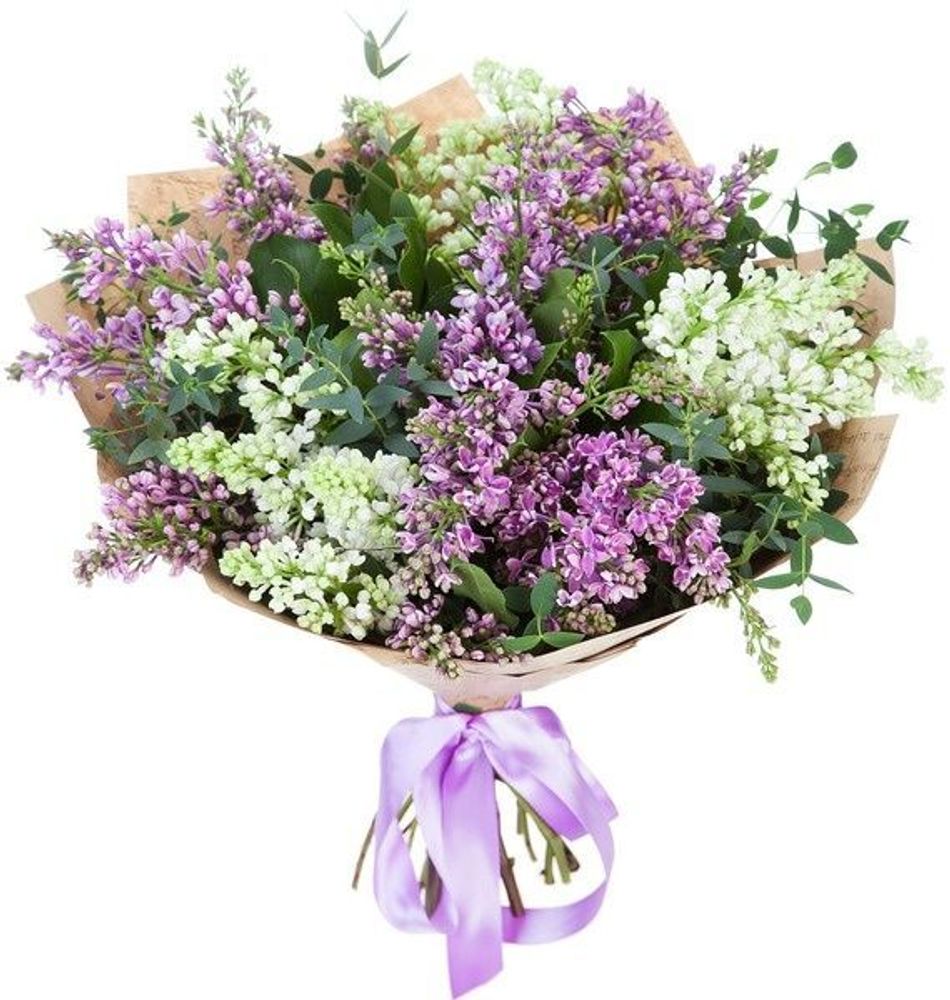 Лиловое облако