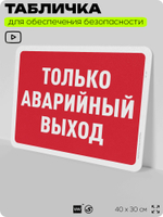 Табличка для обеспечения безопасности "Только аварийный выход", для офиса, по охране труда для предприятия, организаций, 40х30 см, Silver Plane x Айдентика Технолоджи