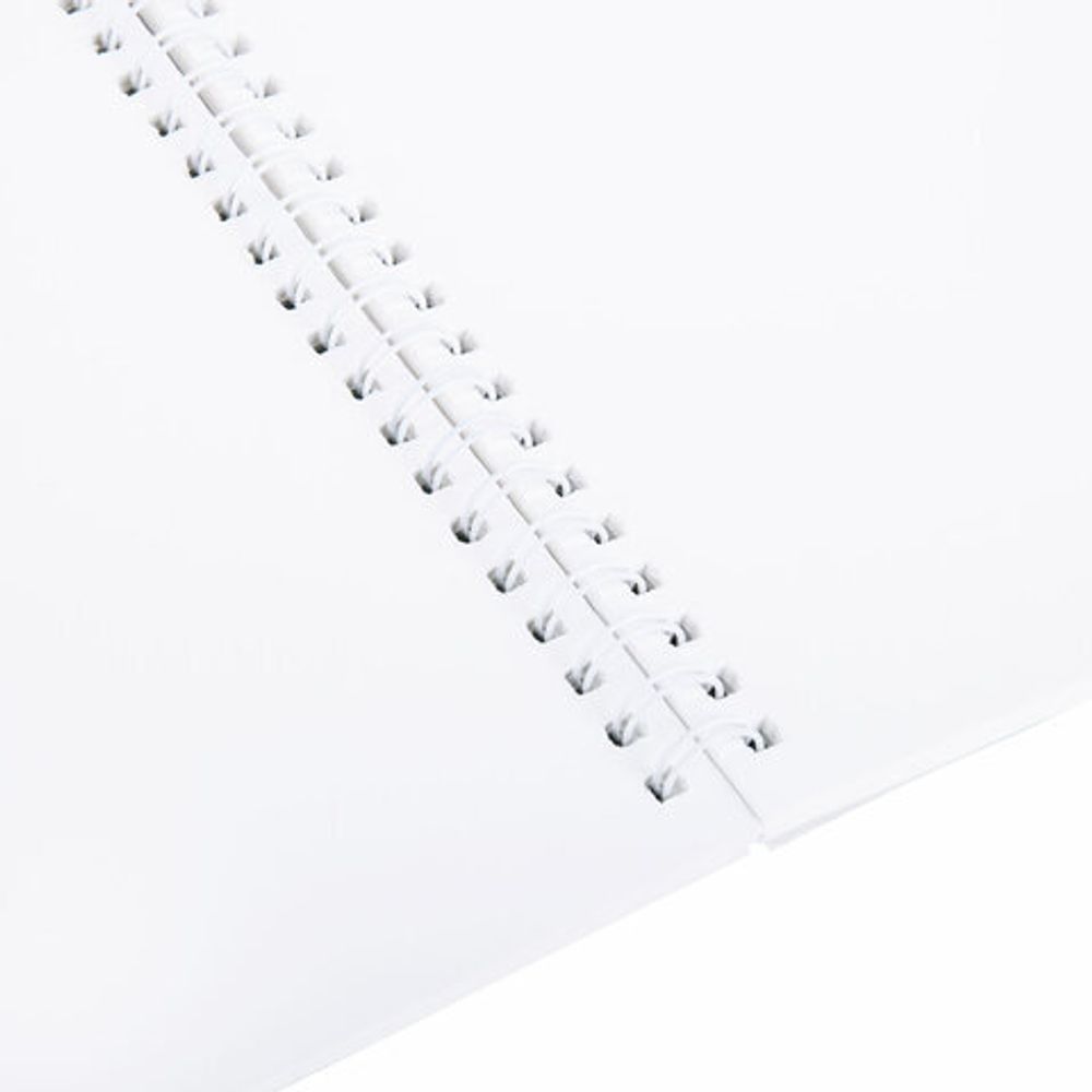 Альбом для акварели А4 24 л., бумага 180 г/м2, гребень, обложка картон, BRAUBERG KIDS, "Pets" (2 вида), 106712