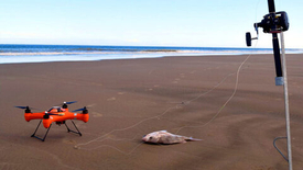 4 лучших рыболовных дрона стоимостью менее 50.000 рублей