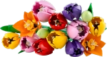 Конструктор LEGO Botanical Collection 11501 Tulip Bouquet