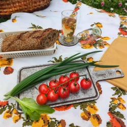 Набор подставок под кружку Бирдекель 4шт 8.5x8.5см ComposeEat Everyday серый