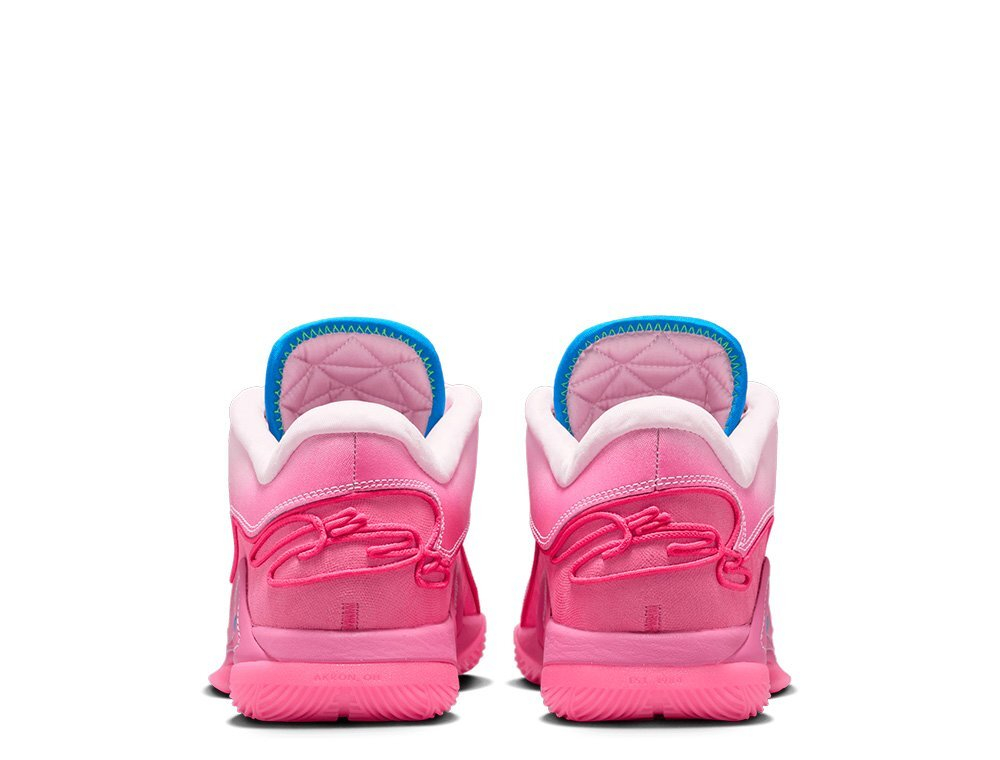 Баскетбольные кроссовки  Nike LeBron XXII "I Promise"