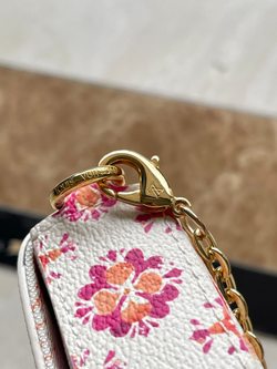 Louis Vuitton Felicie Pochette
