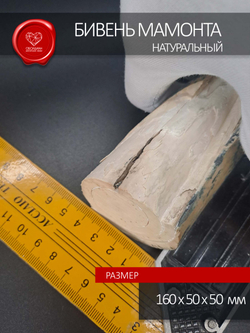 Острие бивня мамонта для коллекции