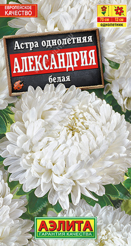 Астра Александрия белая 0,1гр Аэлита