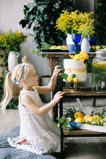 Majolica Photo Day