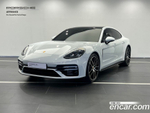Porsche Panamera (971) 2.9 AWD Platinum Editions (07.2022)