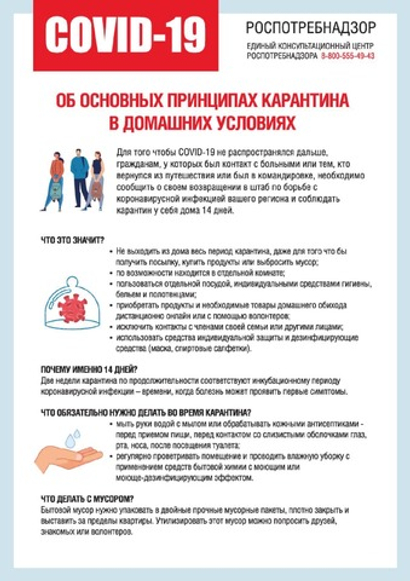 Наклейка Об основных принципах карантина в домашних условиях 803
