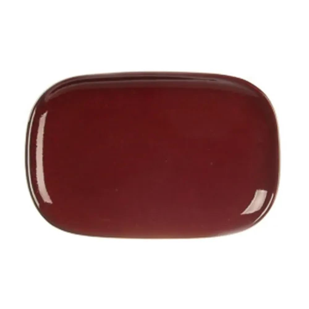 Блюдо овальное 20*13*1,9 см Evolution Dark Red P.L. Proff Cuisine [1]