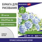 Папка для рисования А4 20 л. 200 г/м2 BRAUBERG 210х297 мм "Сирень" (7 штук в упаковке)