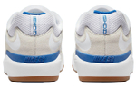 Кроссовки Nike Sb Ishod "Summit White"