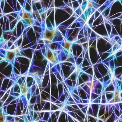 Неведомый мир