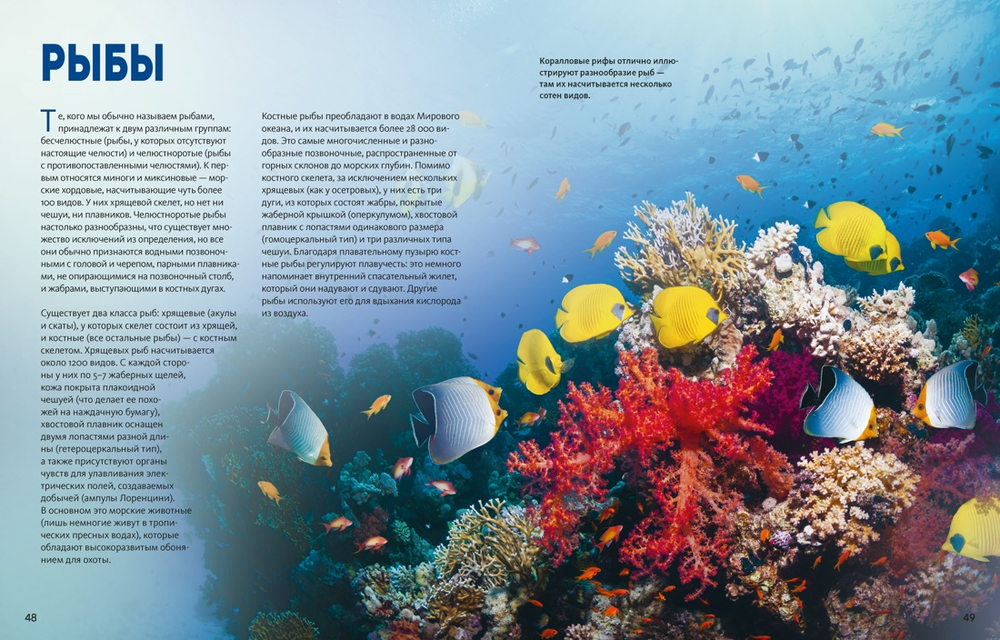 Огромная энциклопедия животных мира