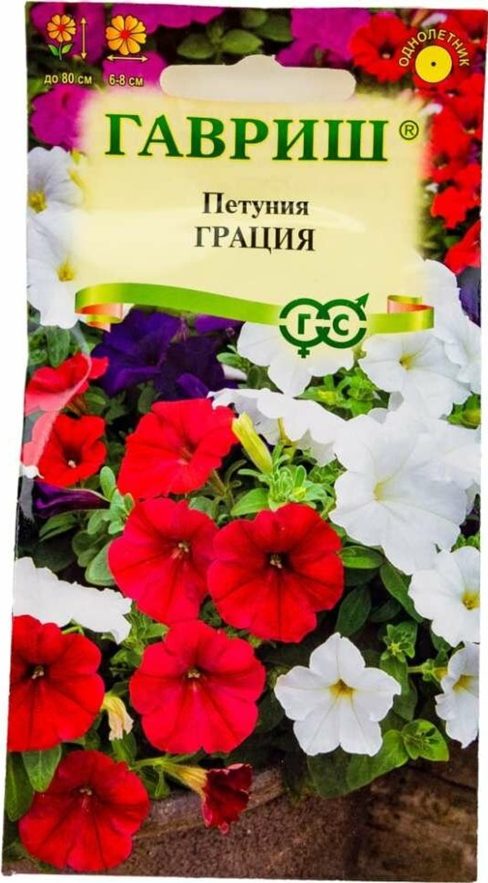 грац