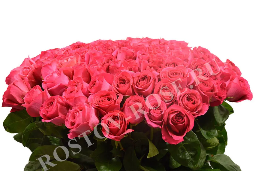 Букет 15 розовых роз (Эквадор)