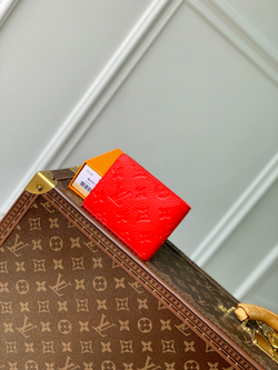 Louis Vuitton Multiple Wallet