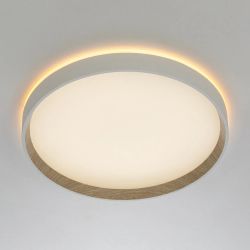 Citilux ETALON CL750320R LED RGB Светильник с пультом Белый+Бук