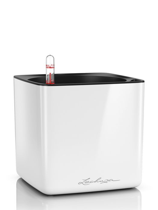 Lechuza Cube Glossy Complete 16