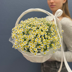 Корзина из 15 матрикарий #24