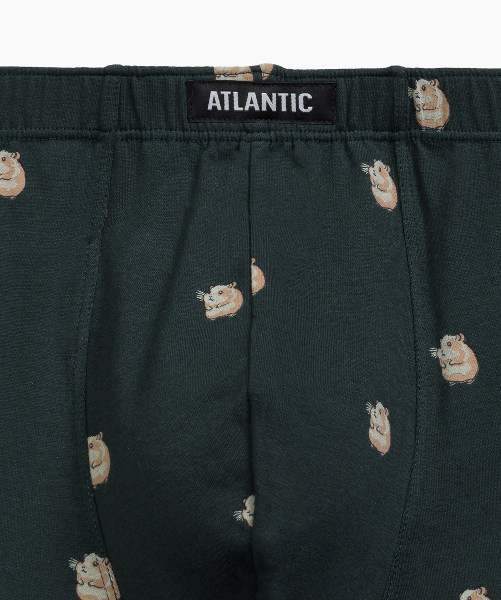 Мужские трусы шорты Atlantic, набор из 2 шт., хлопок, темно-синие + изумрудные, 2MHH-001